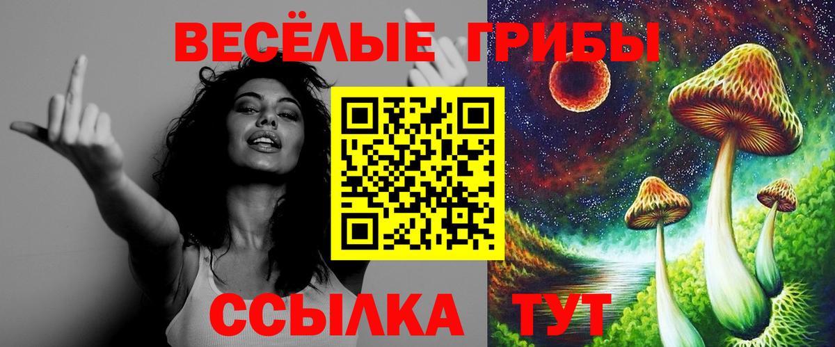 Рубцовск  Псилоцибиновые грибы Psilocybine cubensis  Галлюциногенные грибы ЛСД  купить закладку  Вход с VPN 